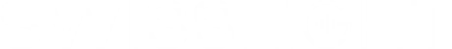 SWISS LIGHT GmbH