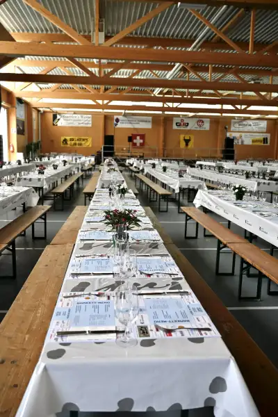 Bild 15
